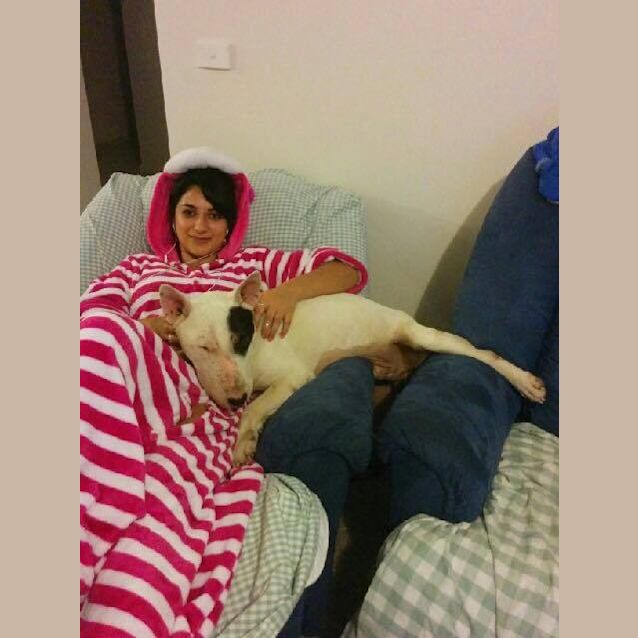 Photo of Max (Looking For Long Term Foster)