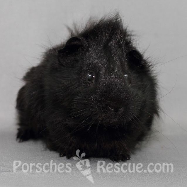 Photo of Mac And Cheese