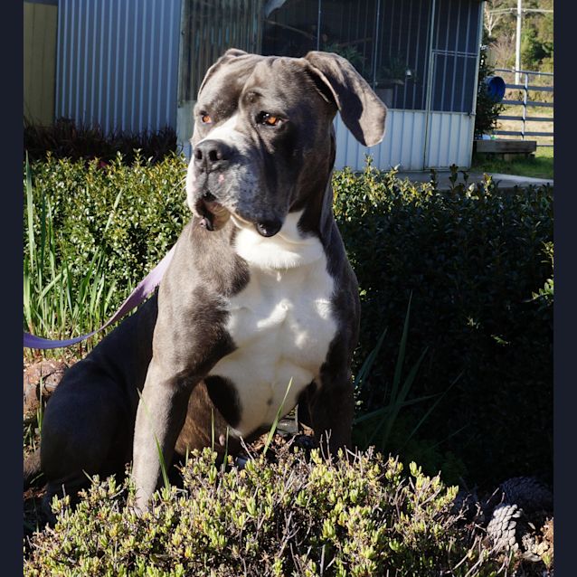 Photo of Mac Ca