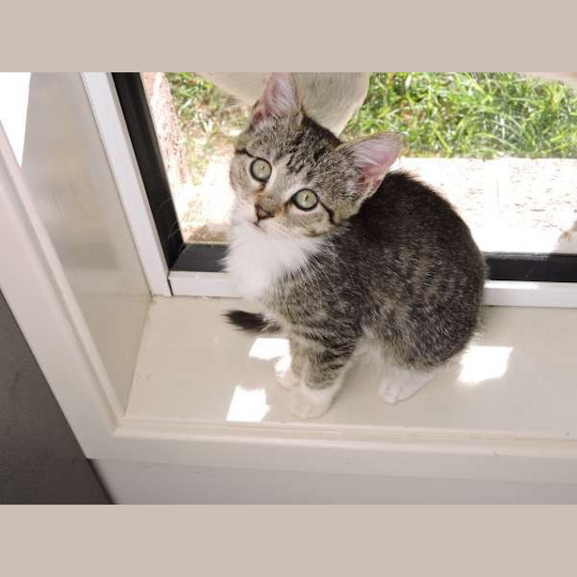 Photo of Tabitha