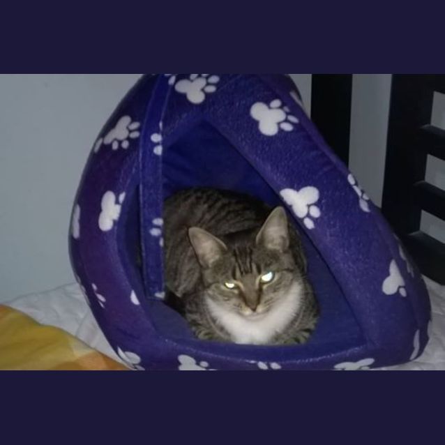 Photo of Evie
