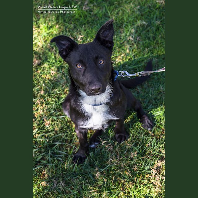 Photo of Pippa