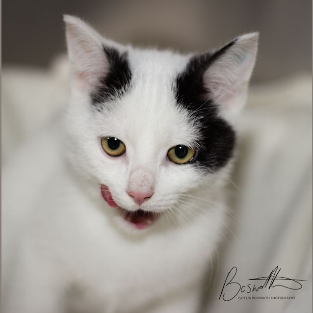 Photo of Fergus