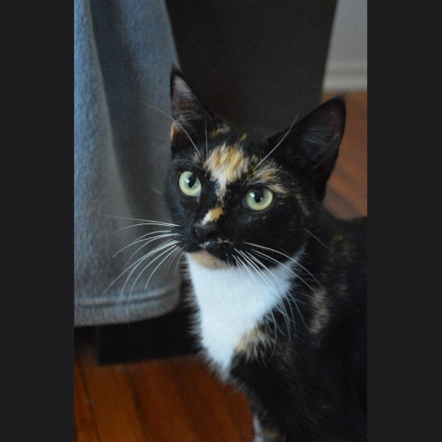 Photo of Maddison