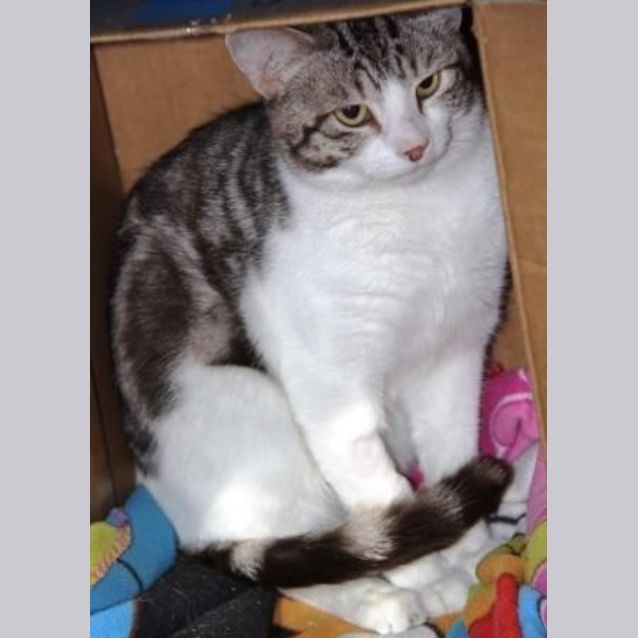 Photo of Curtis