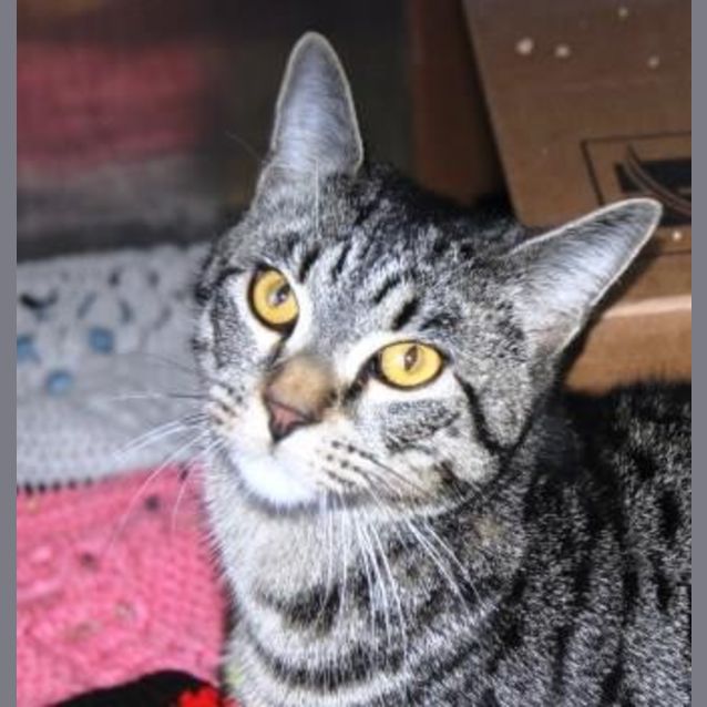 Photo of Slider