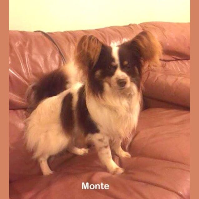Photo of Monte