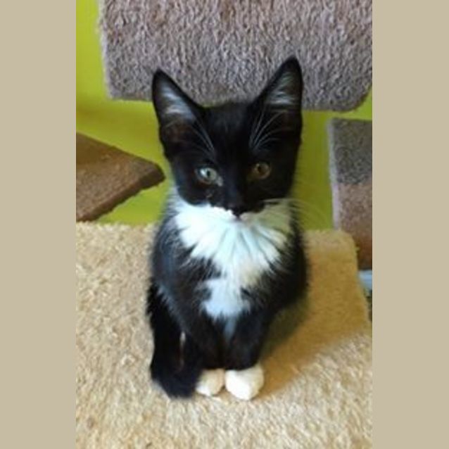 Photo of Chloe