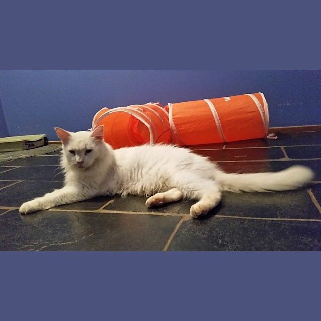 Photo of Cleo And Flayke 