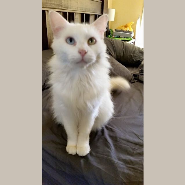 Photo of Cleo And Flayke 