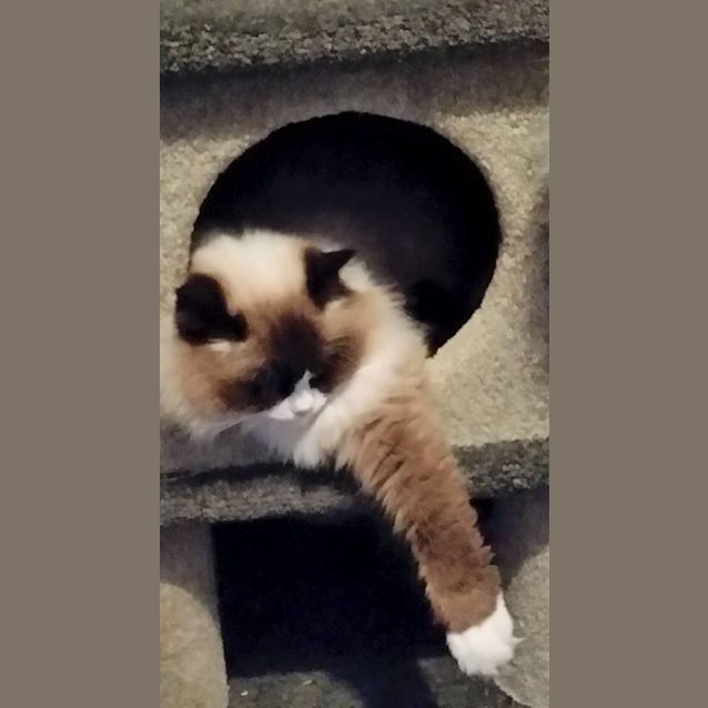 Photo of Cleo And Flayke 