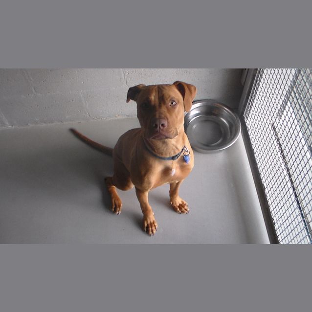 Photo of Ruby