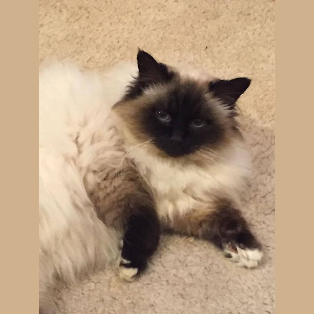 Photo of Marcia
