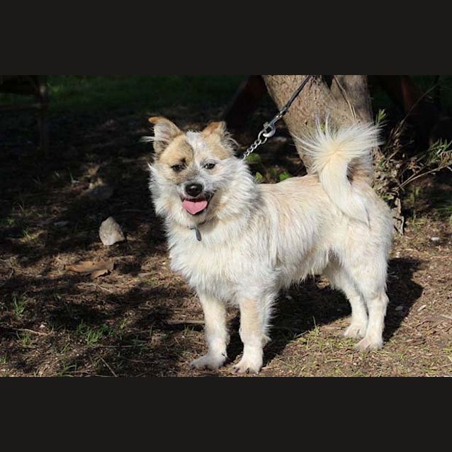 Photo of Leroy