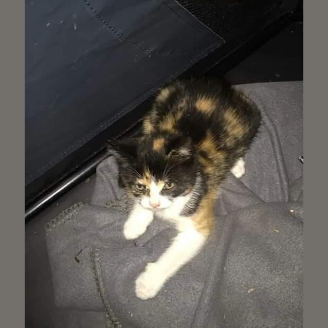 Photo of Molly