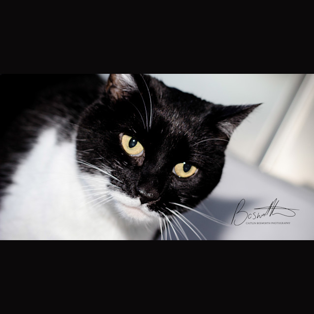 Photo of Isabella