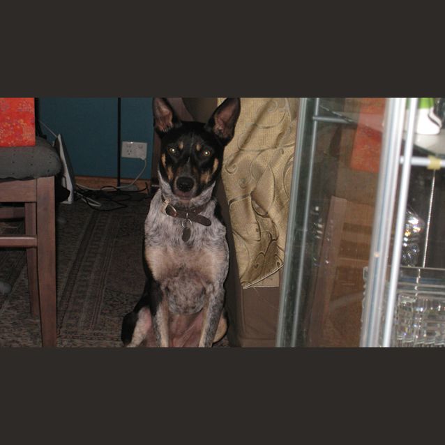 Photo of Velma