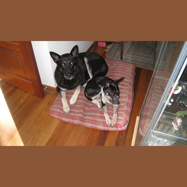 Photo of Velma