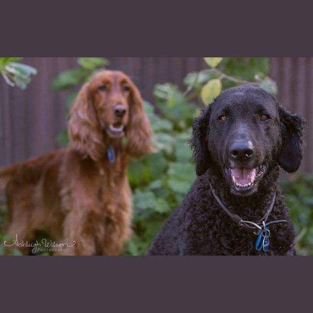 Photo of Daisy & Isis