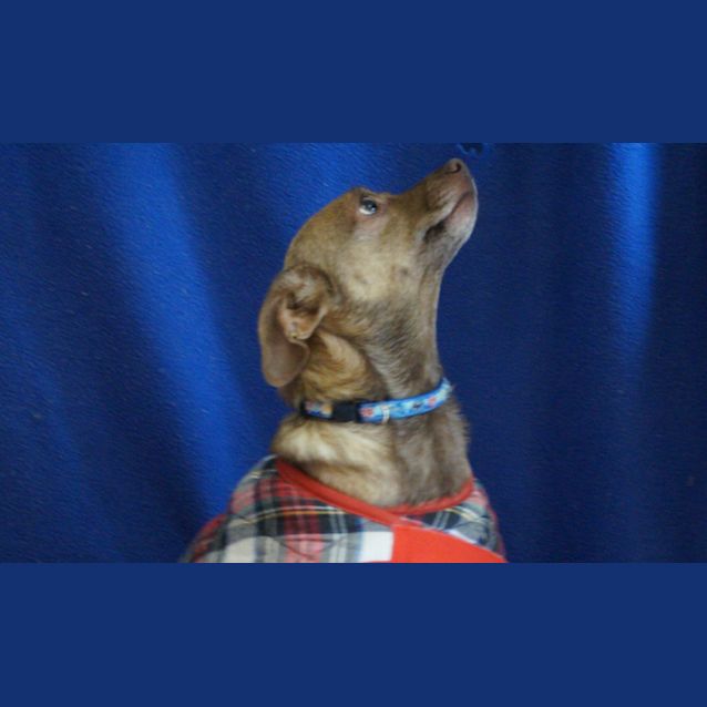 Photo of Coco