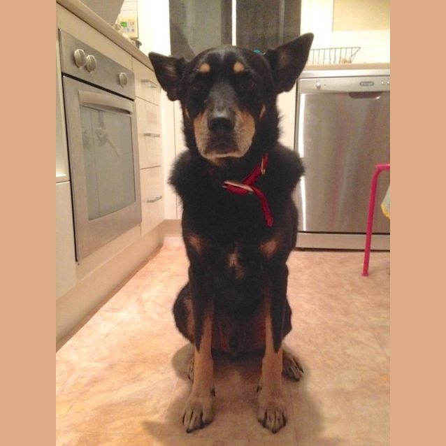 Photo of Murry