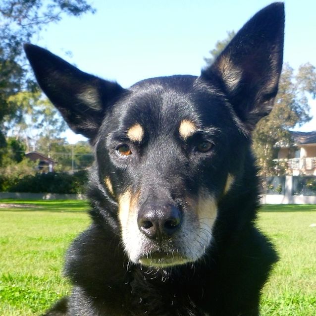 Photo of Murry