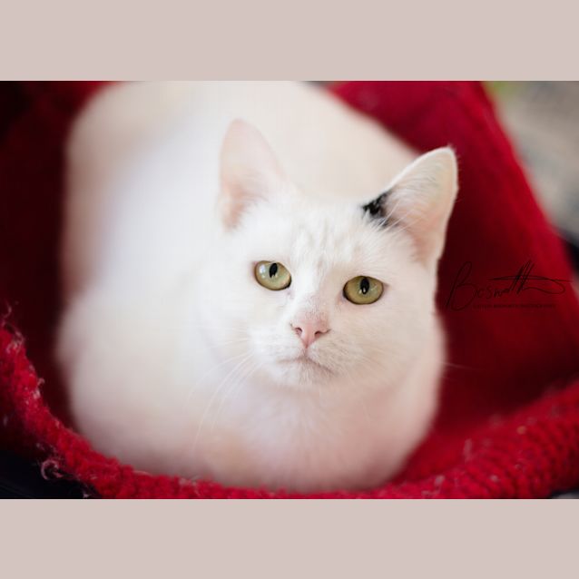 Photo of Fleur