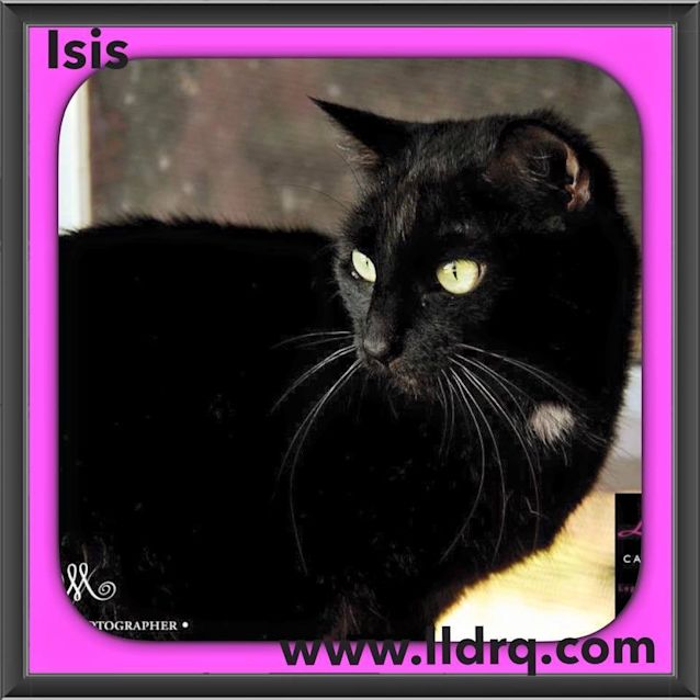 Photo of Isis 