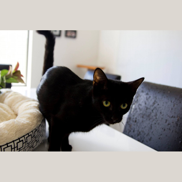 Photo of Freya