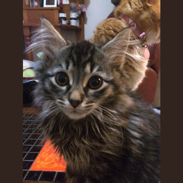Photo of Ted