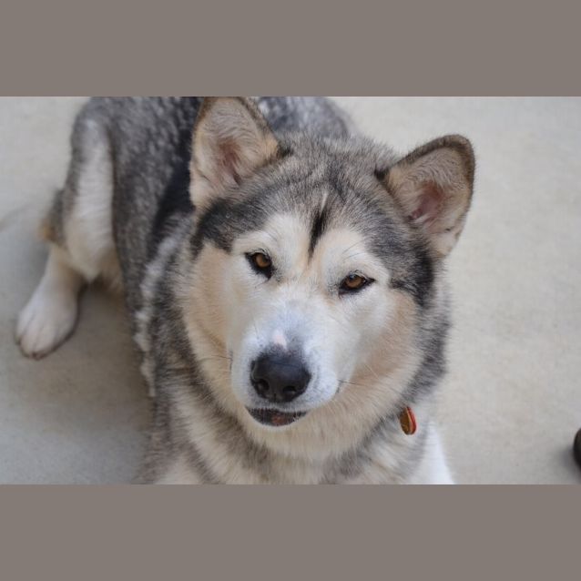 Photo of Star