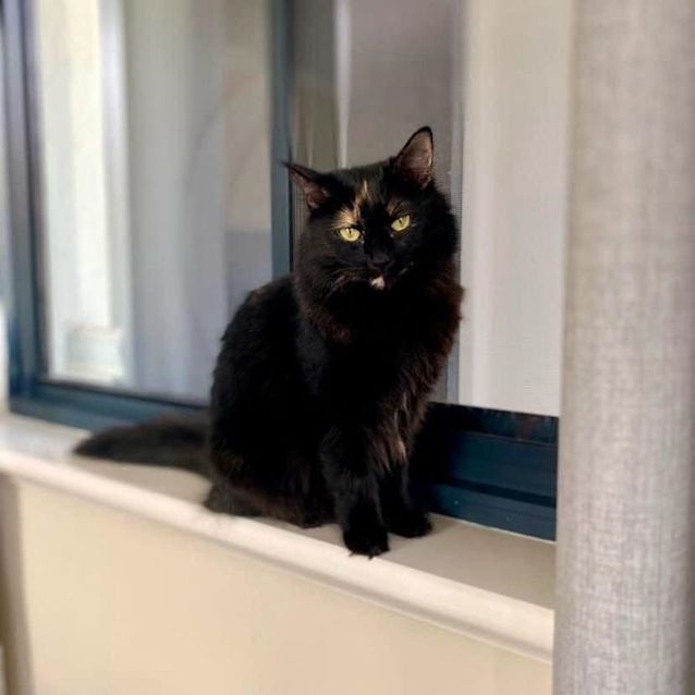 Photo of 6017   Lou Lou 