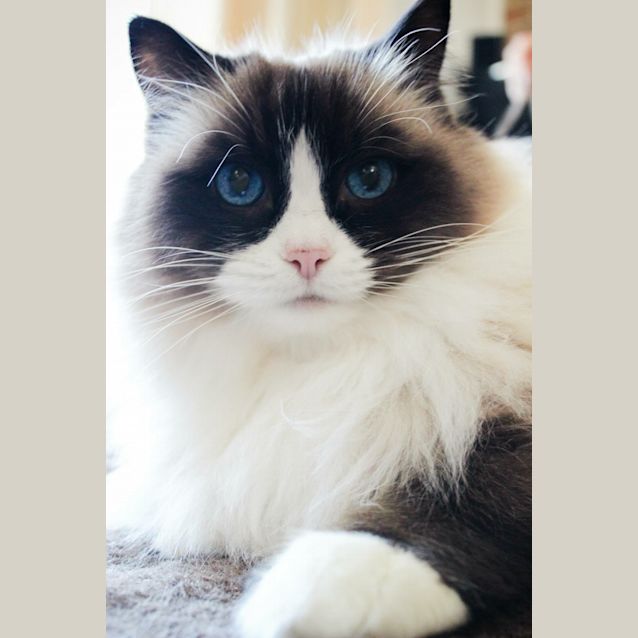 Photo of Cleo And Flayke 