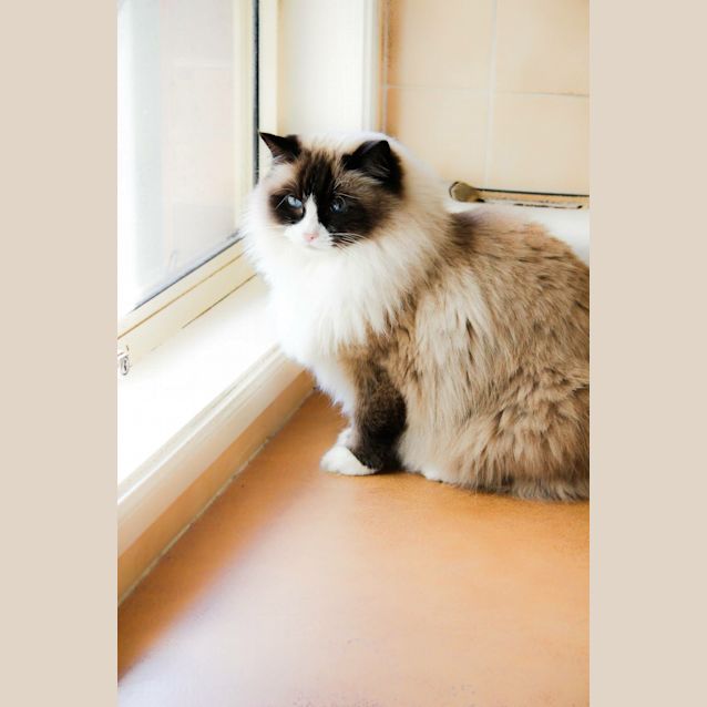 Photo of Cleo And Flayke 