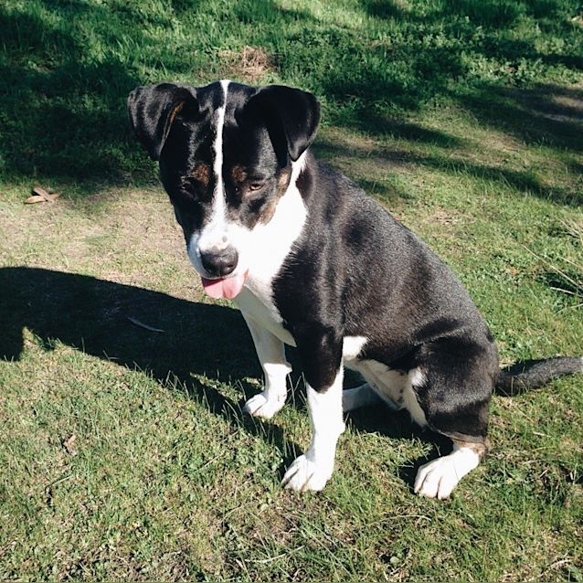 Photo of Lovely Lila
