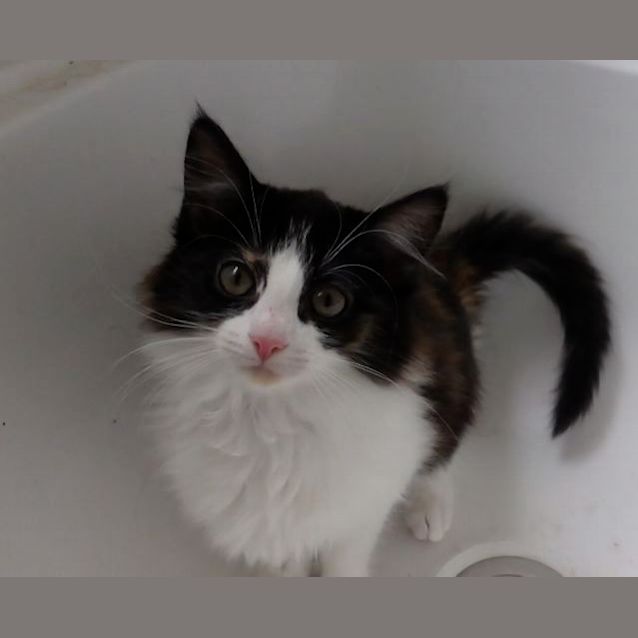 Photo of Molly