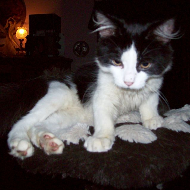 Photo of Tristan And Troy