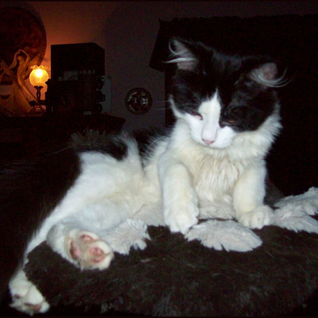 Photo of Tristan And Troy