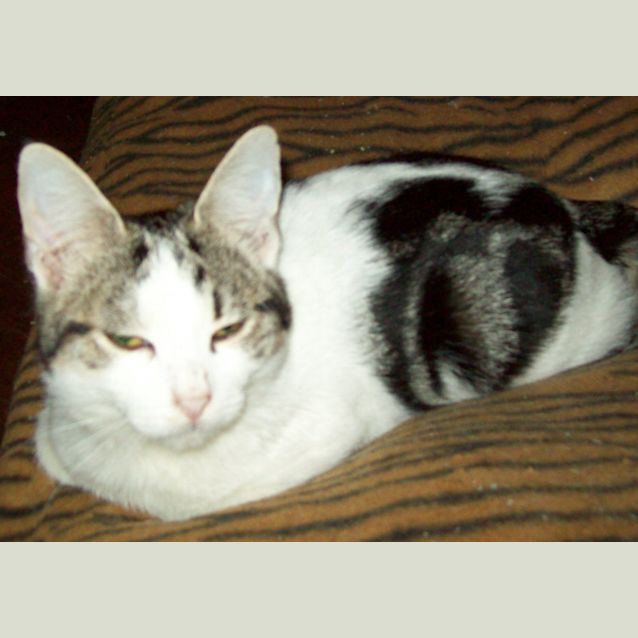 Photo of Tristan And Troy