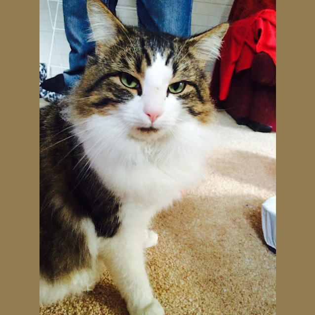 Photo of Leonard Reduced To $80