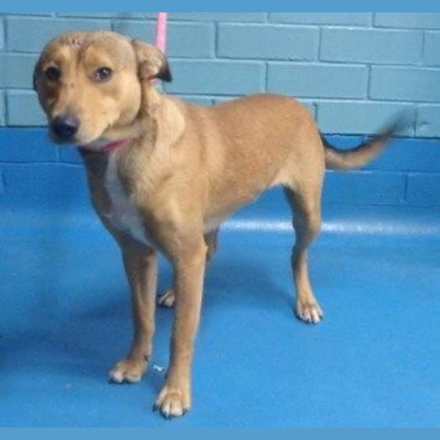 Photo of Bandit
