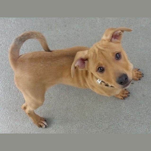Photo of Speedy