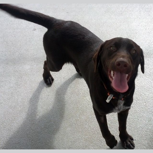 Photo of Monty