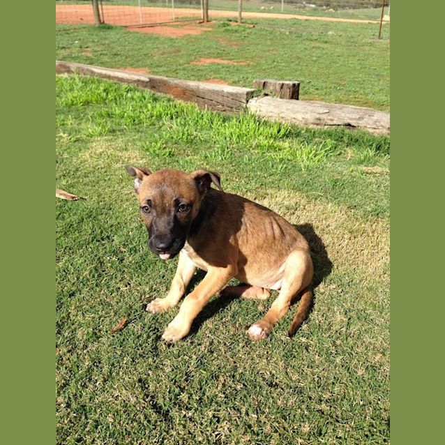 Photo of Anna *On Trial In New Home!*
