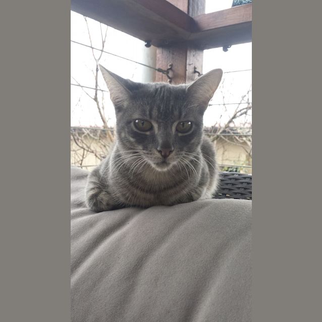 Photo of Coco