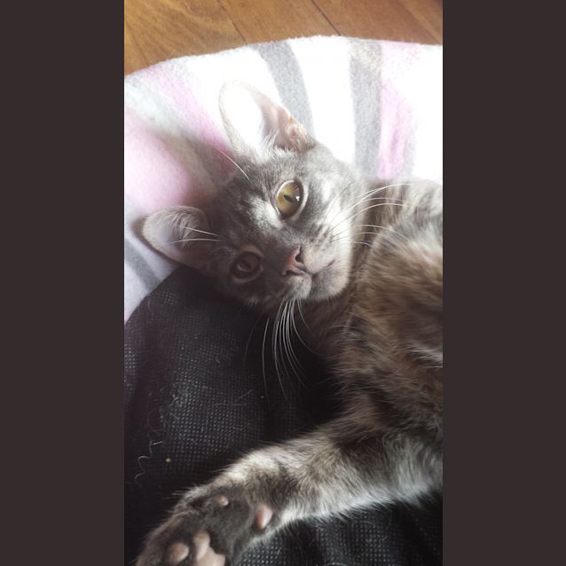 Photo of Coco