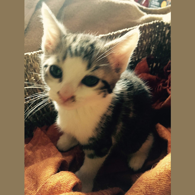 Photo of Quinn