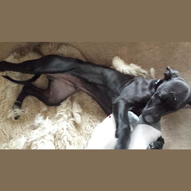 Photo of Ernie 