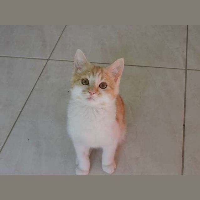 Photo of Riley