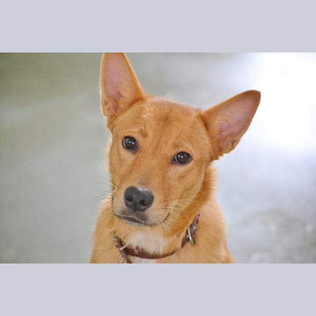 Photo of Lexi